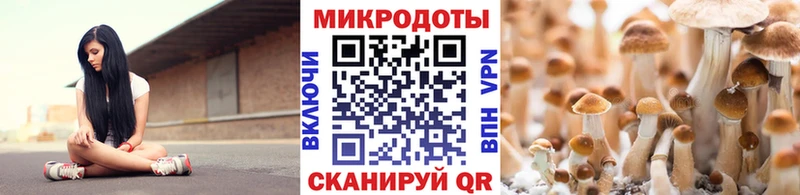 darknet Telegram  Николаевск  Псилоцибиновые грибы Cubensis  МЕГА вход 